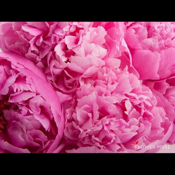 Meet your Posher, Lisa - Picture 1 of 1